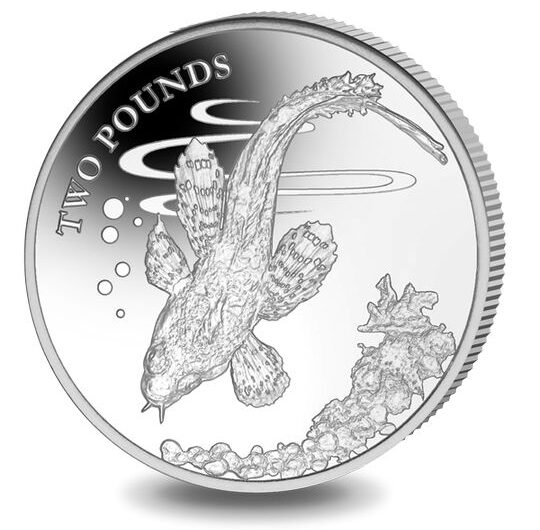 2021 Antarctic Barbeled Plunderfish £2